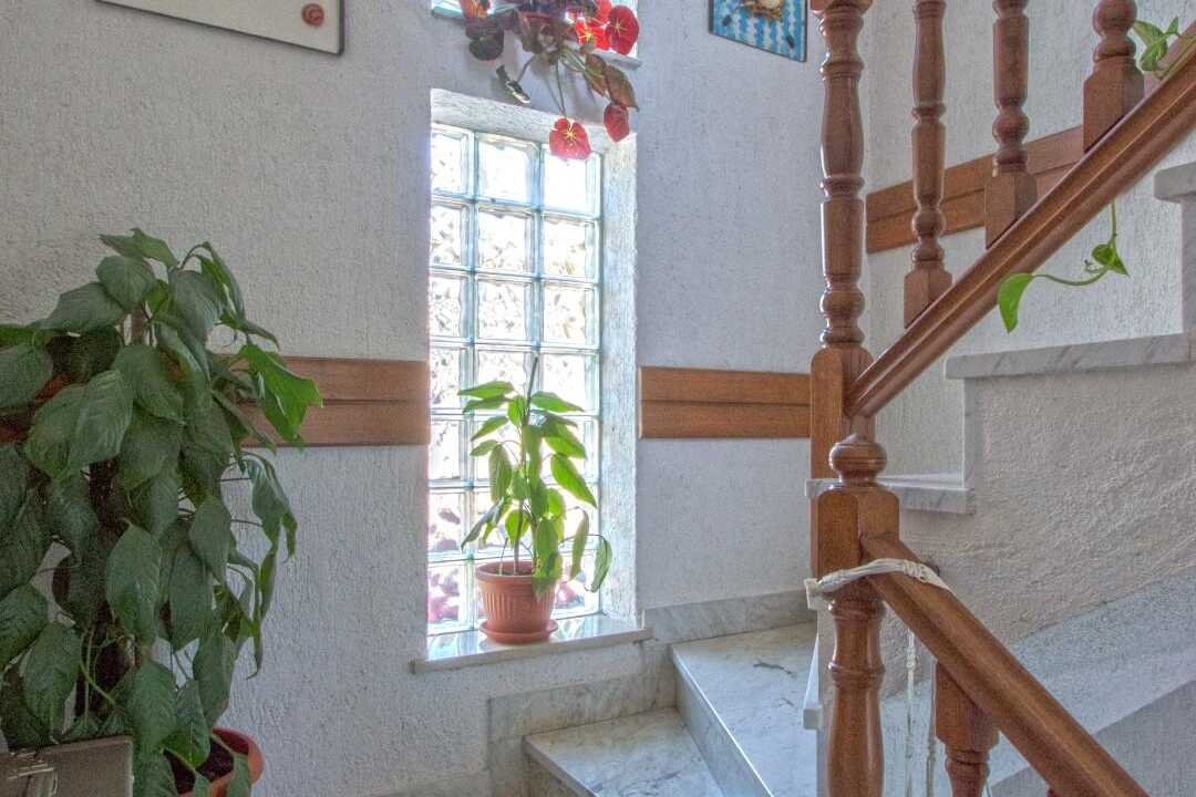 Vedi tutto